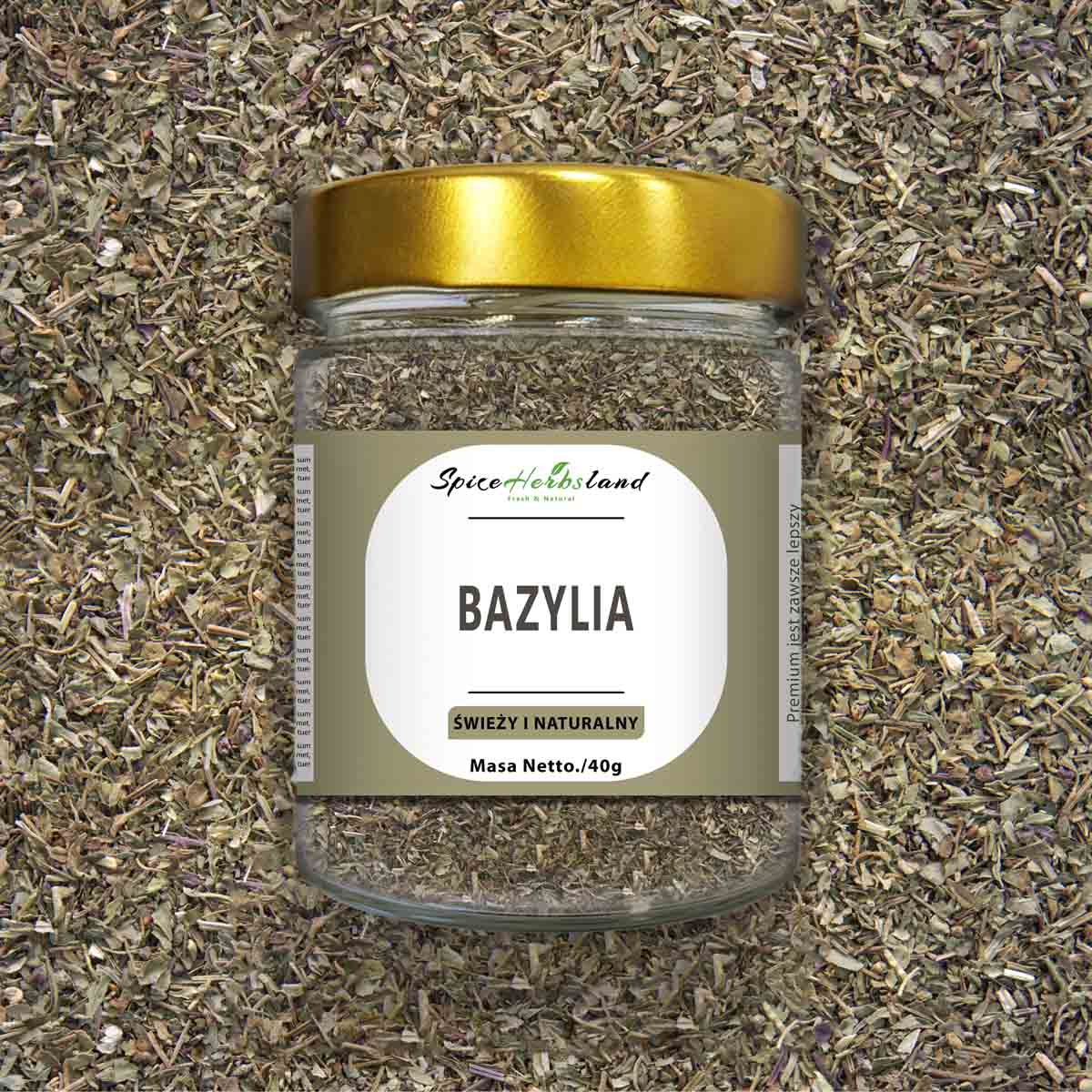 Bazylia
