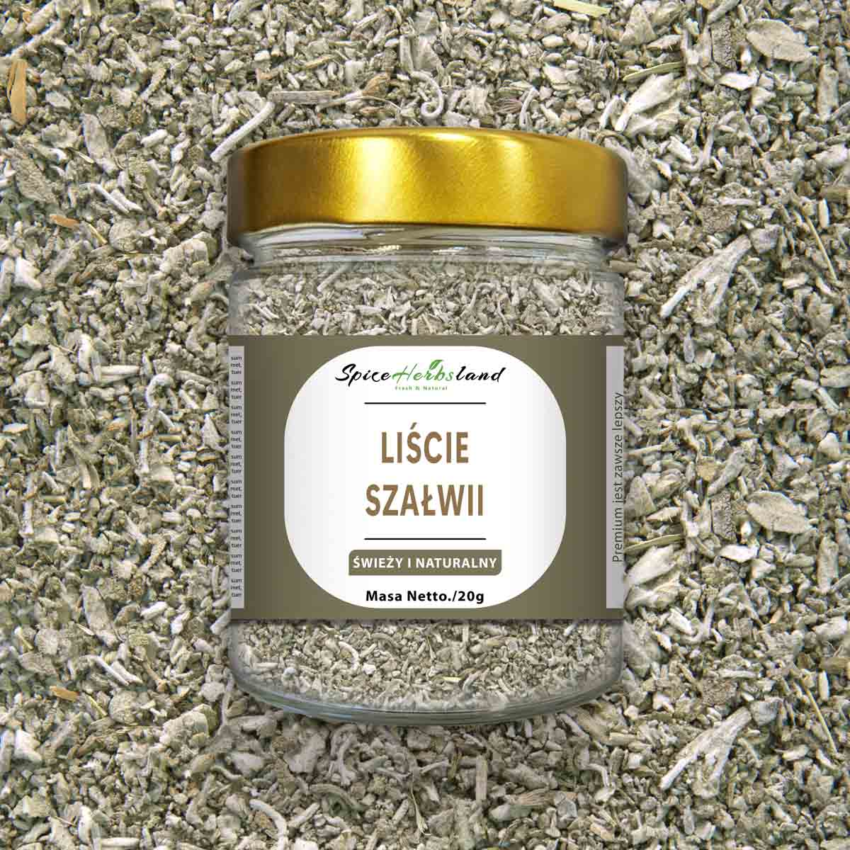 Liście Szałwii