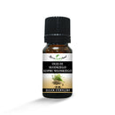 100% pure, natural fennel essential oil