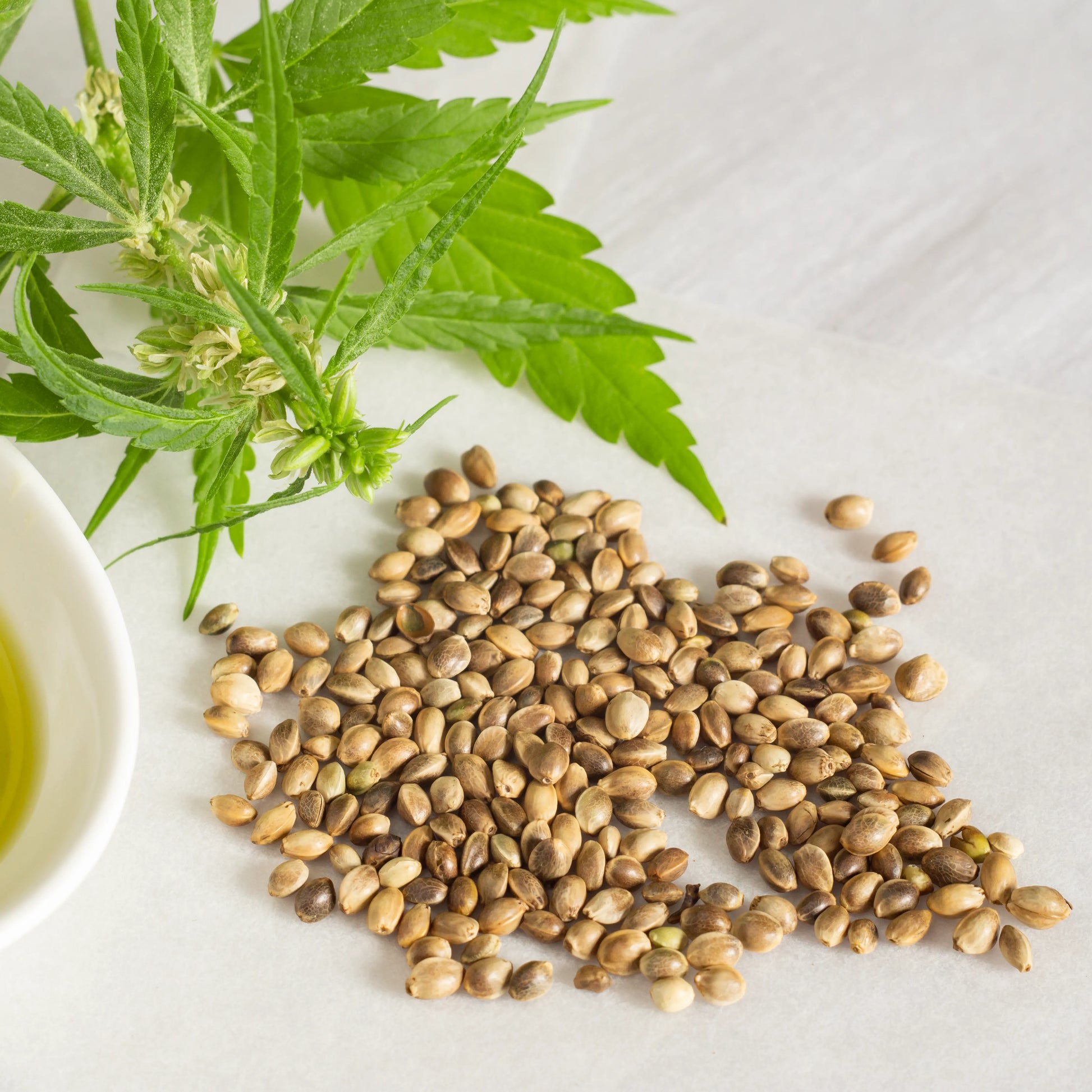 Hemp_seeds_1