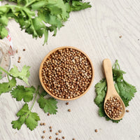 Coriander_seeds_2