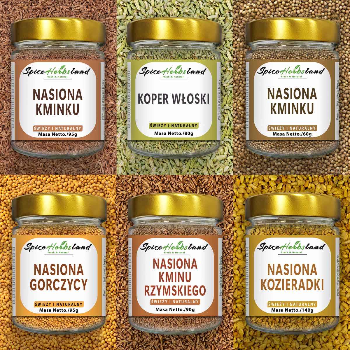 Seed collection - set of 6